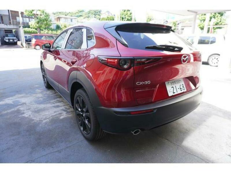 CX-30