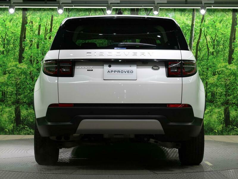 DISCOVERY SPORT-73