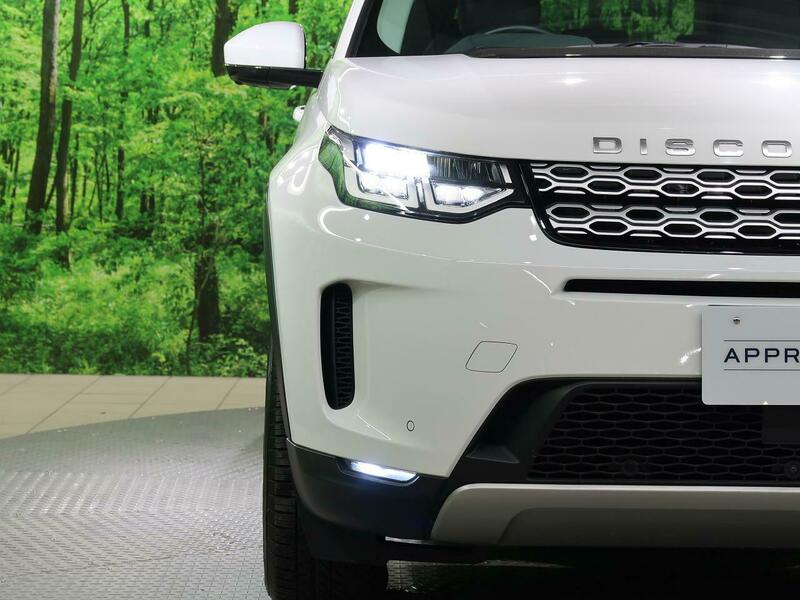 DISCOVERY SPORT-76