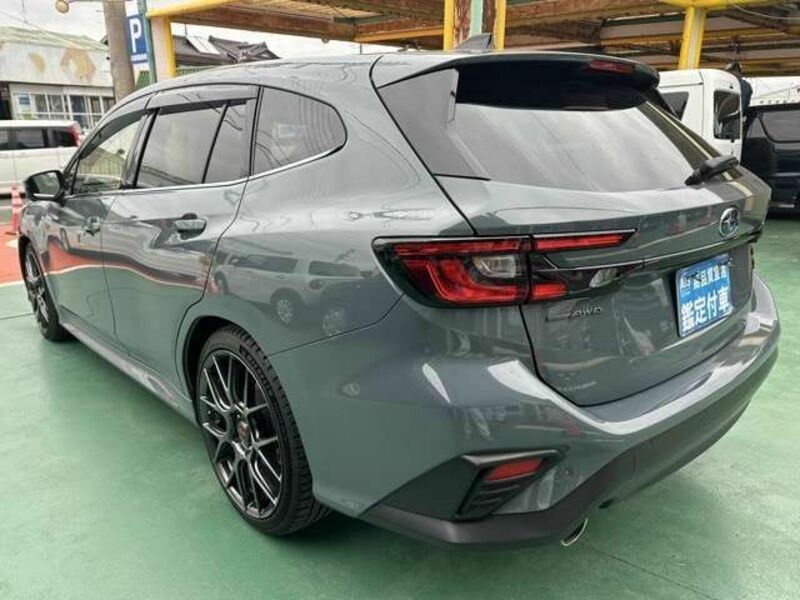 LEVORG