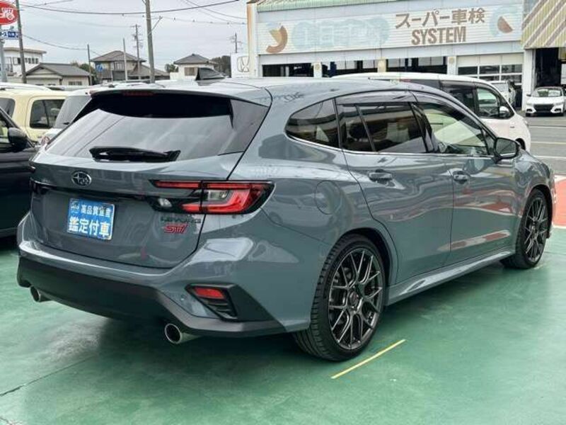 LEVORG