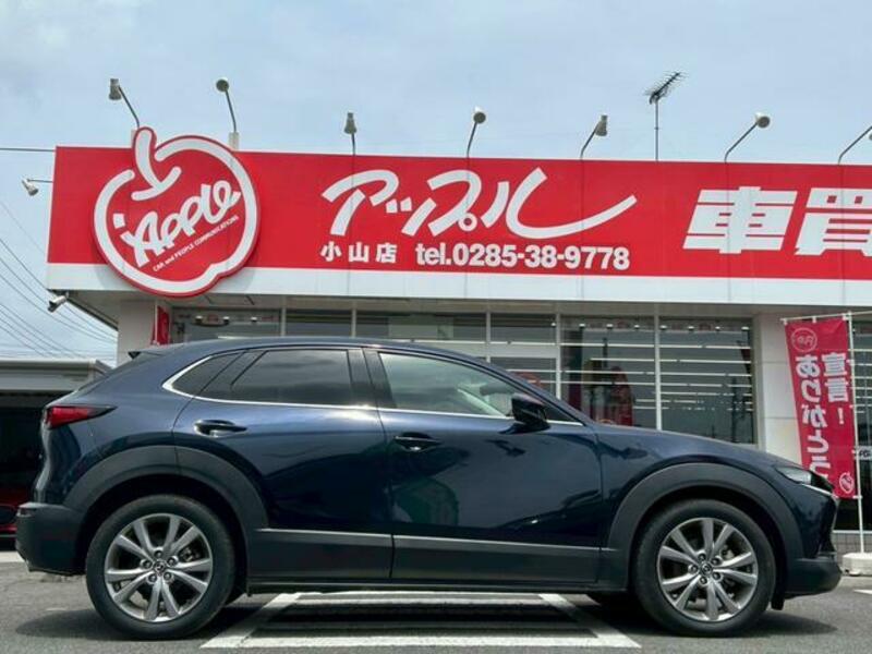 CX-30