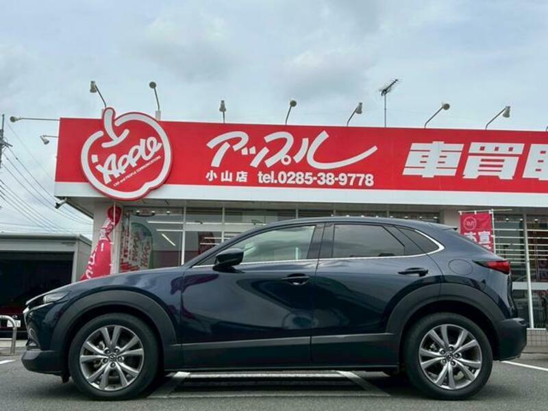 CX-30