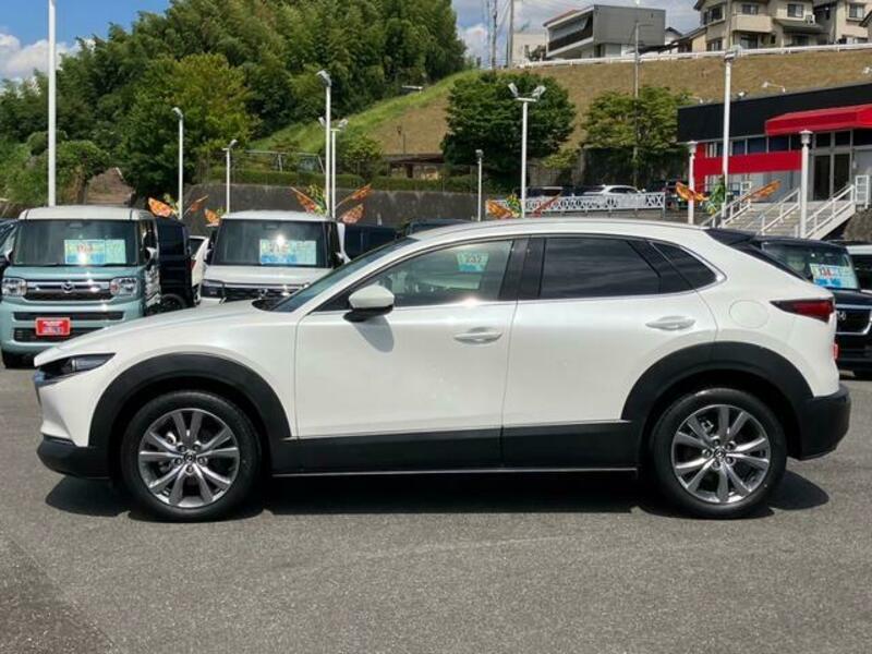 CX-30