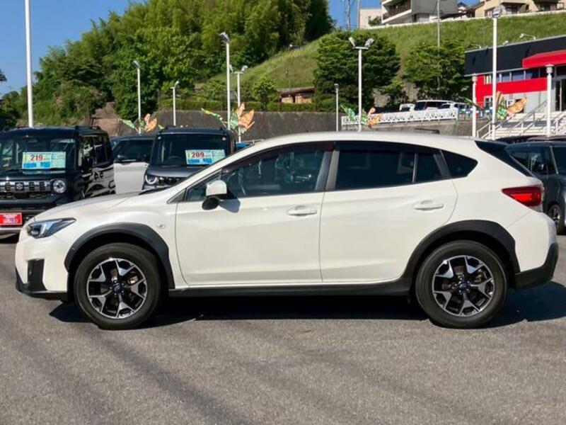 XV