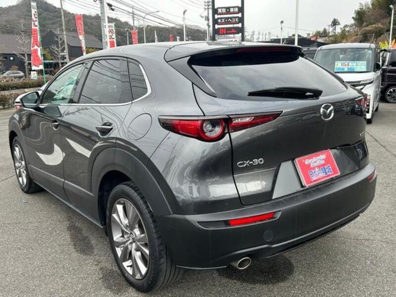 CX-30