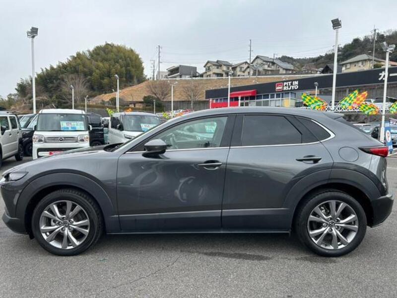 CX-30