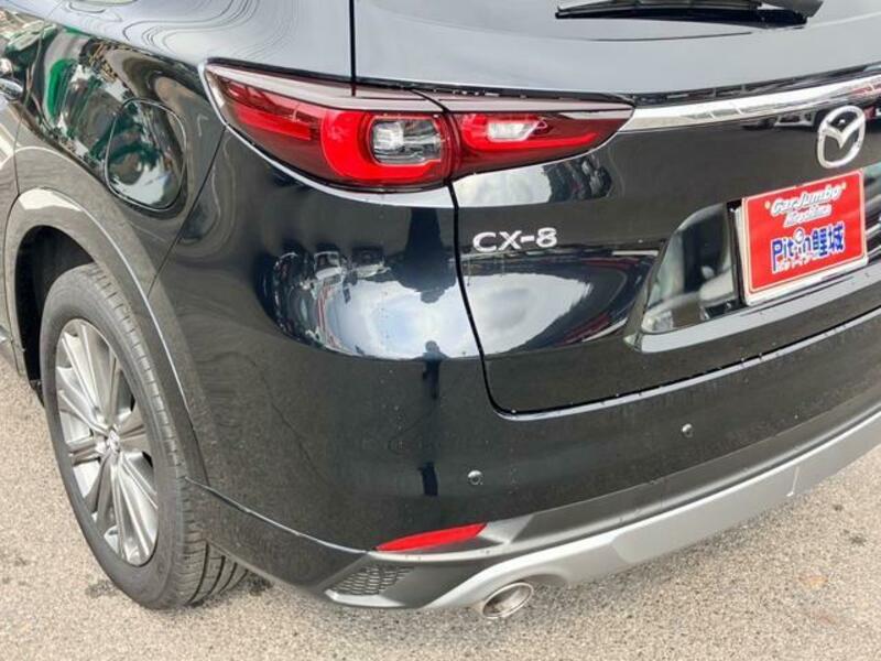 CX-8