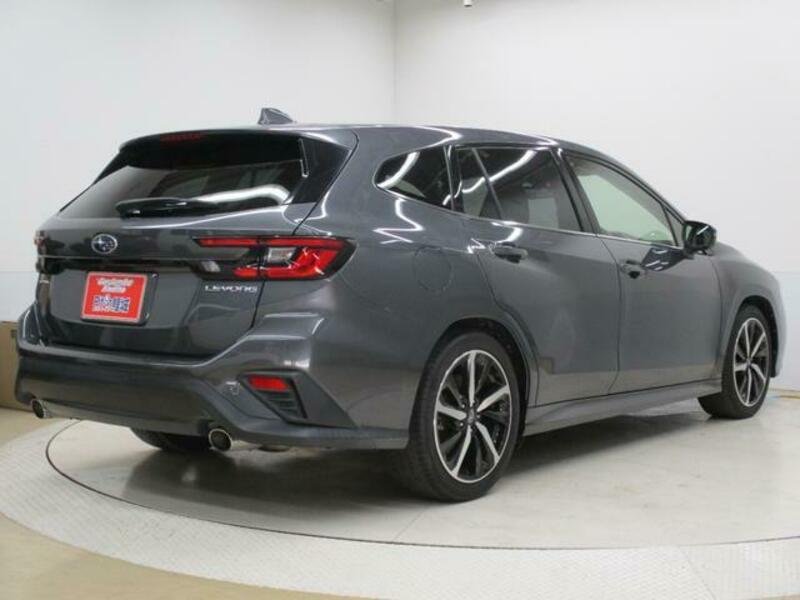 LEVORG