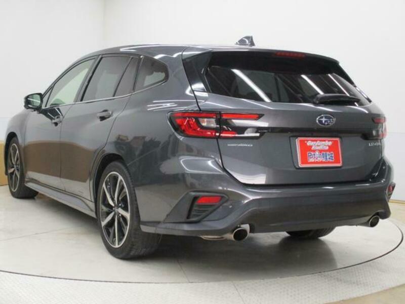 LEVORG
