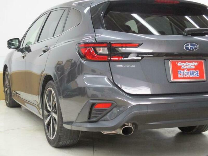 LEVORG