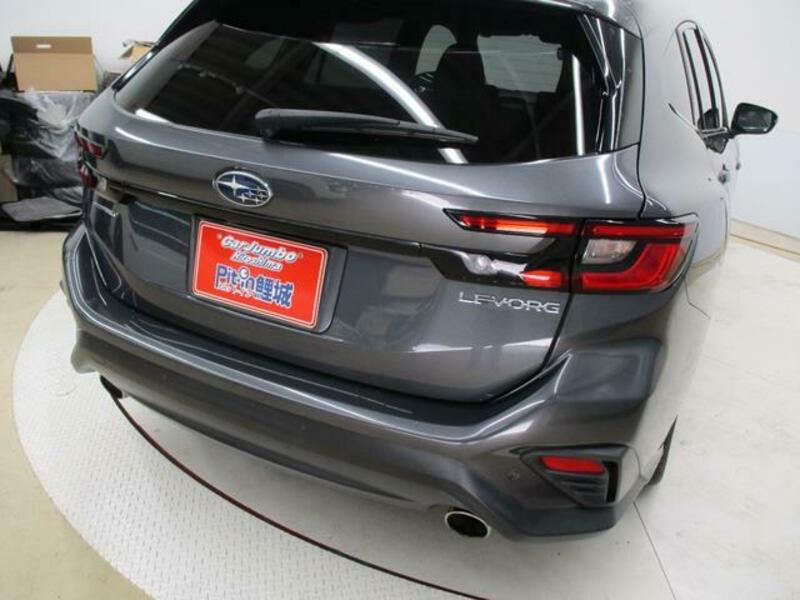 LEVORG