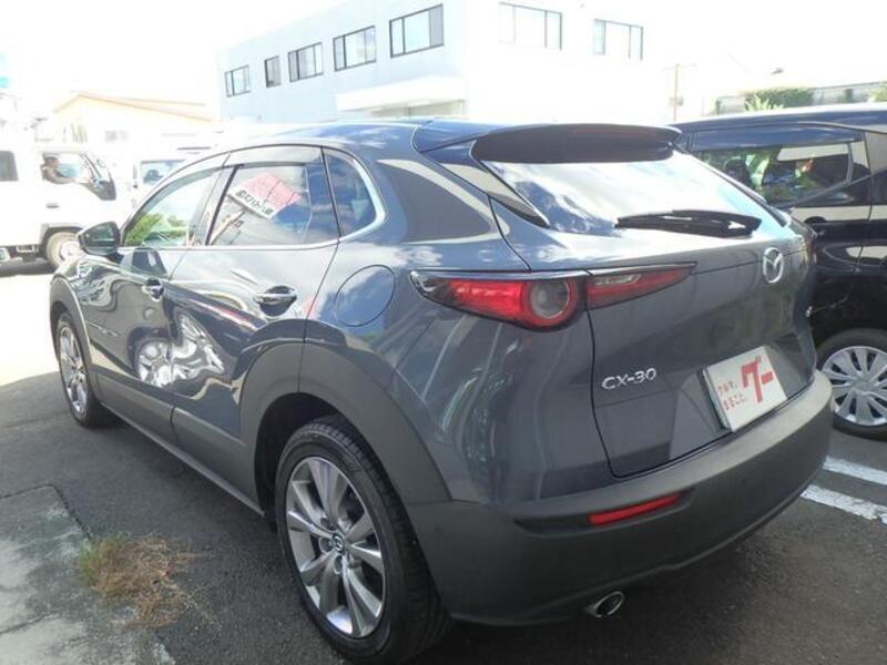 CX-30