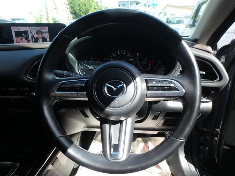 CX-30