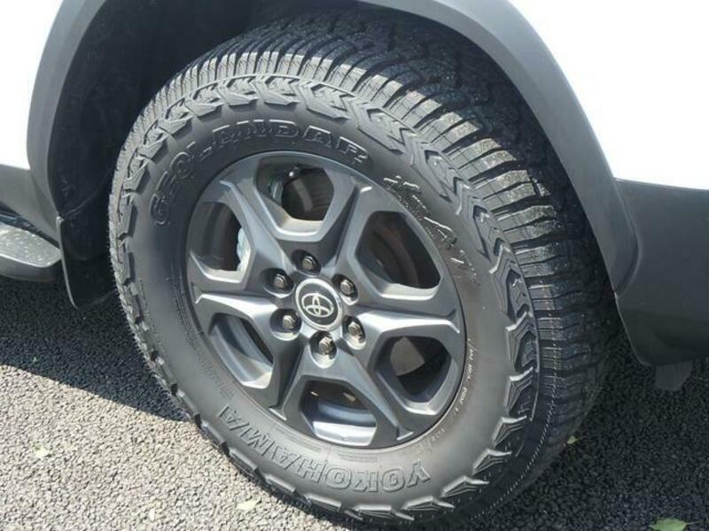 LAND CRUISER