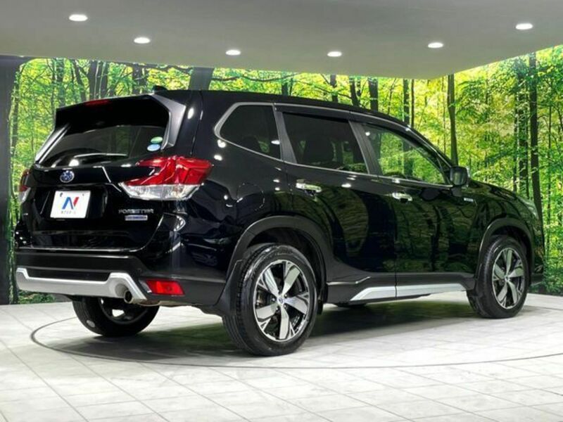 FORESTER