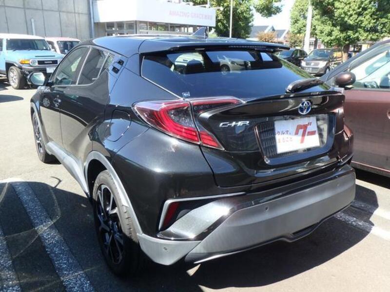 C-HR
