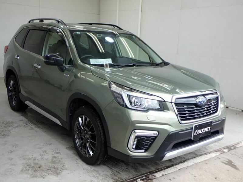FORESTER