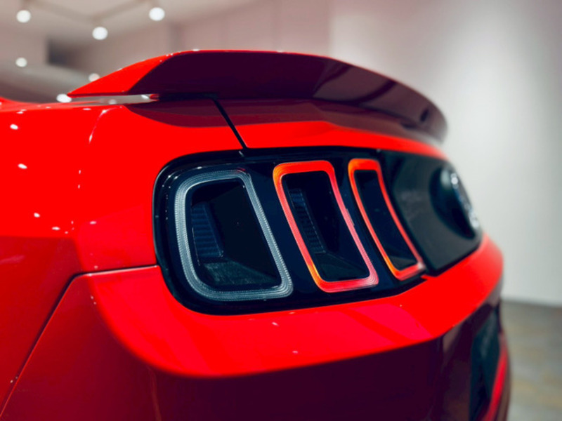 MUSTANG