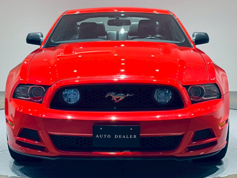 MUSTANG