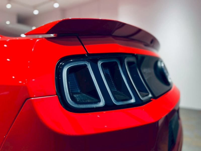 MUSTANG