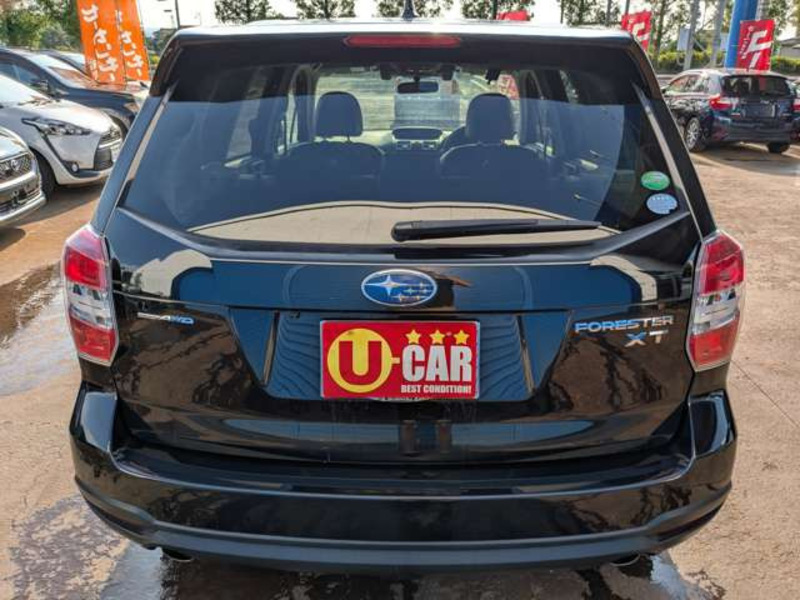 FORESTER
