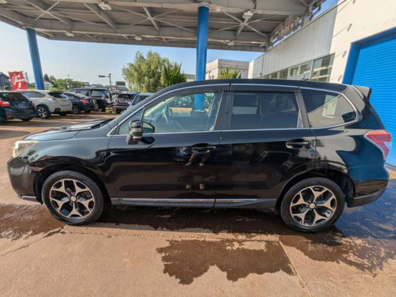 FORESTER