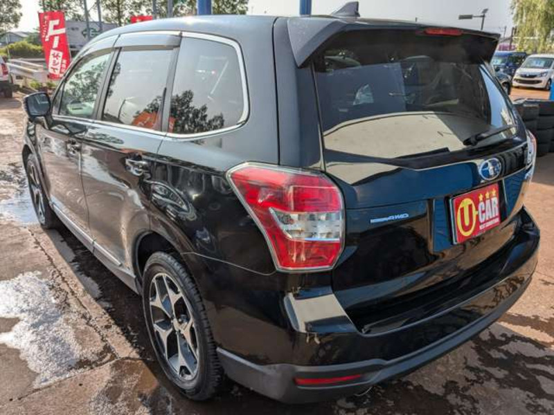 FORESTER