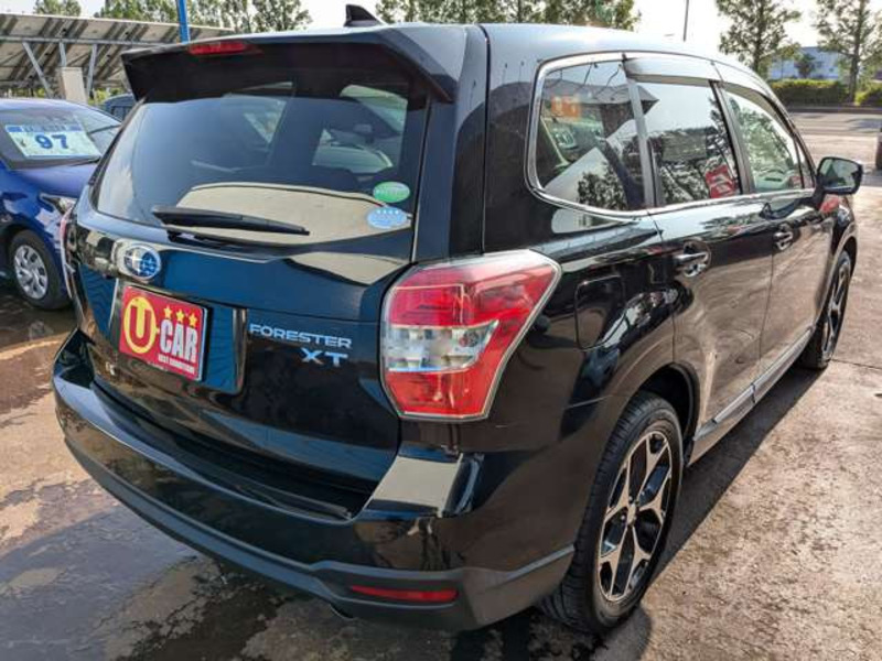 FORESTER