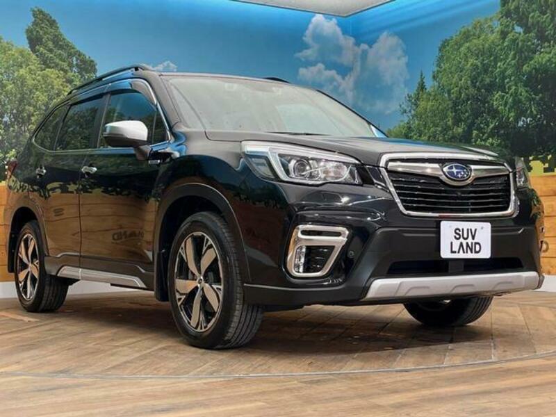 FORESTER
