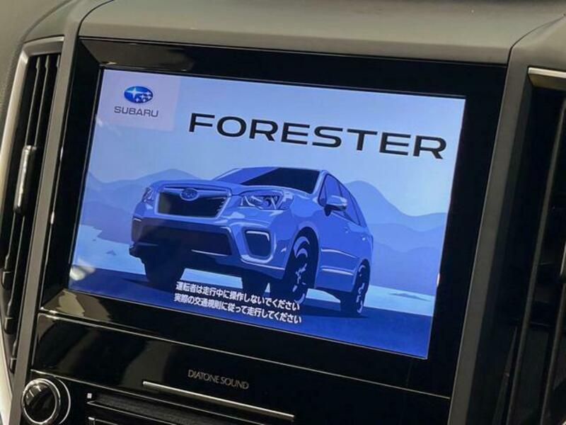 FORESTER