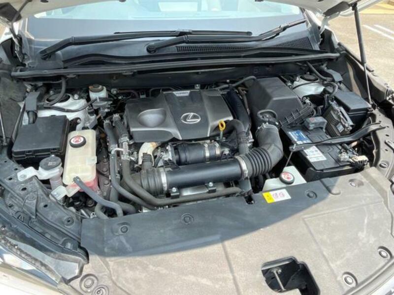NX