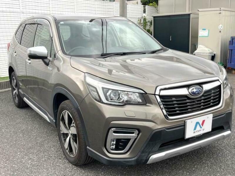 FORESTER