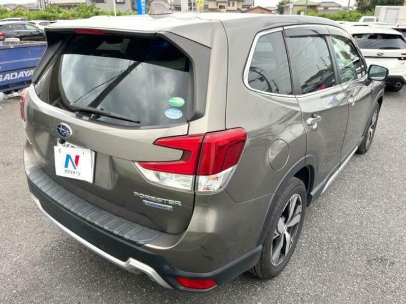 FORESTER