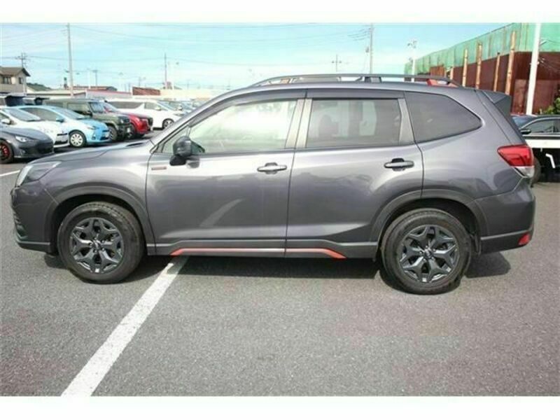 FORESTER