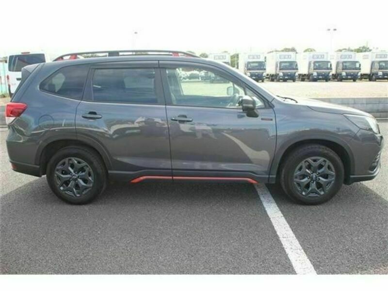 FORESTER