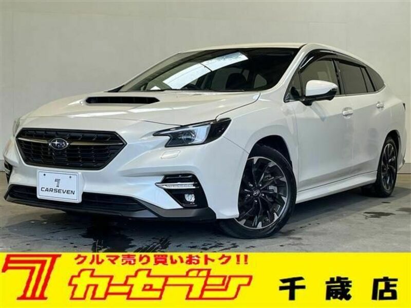 LEVORG-0