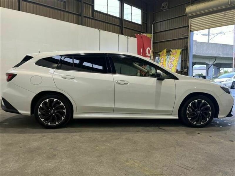 LEVORG