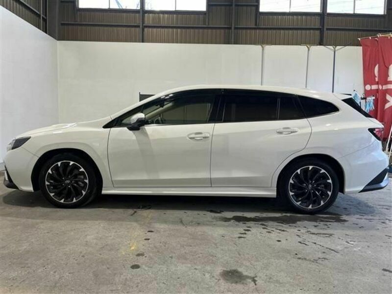 LEVORG