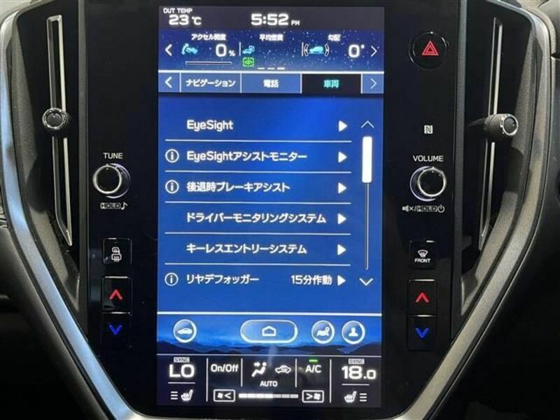 LEVORG