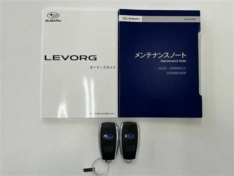 LEVORG