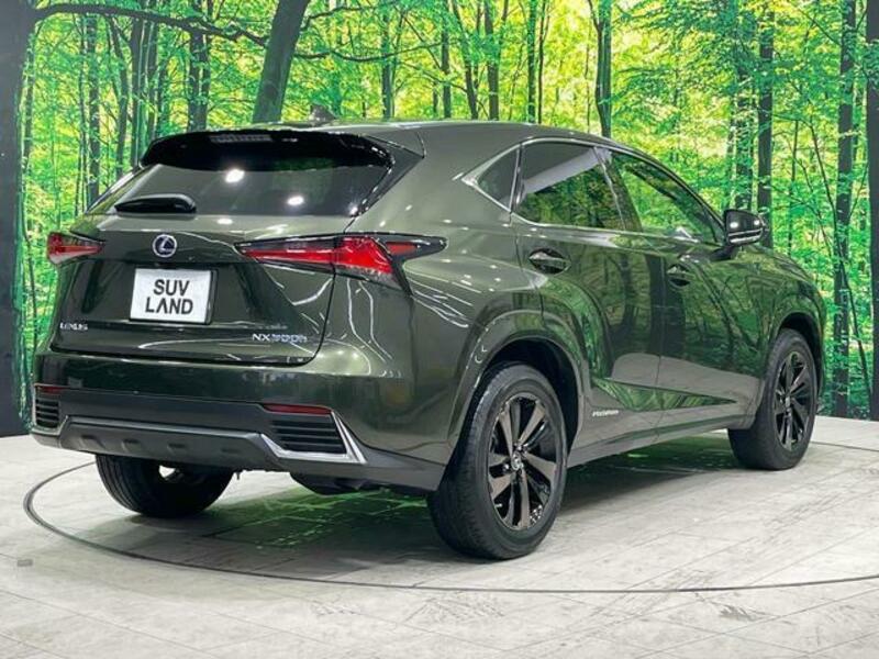 NX