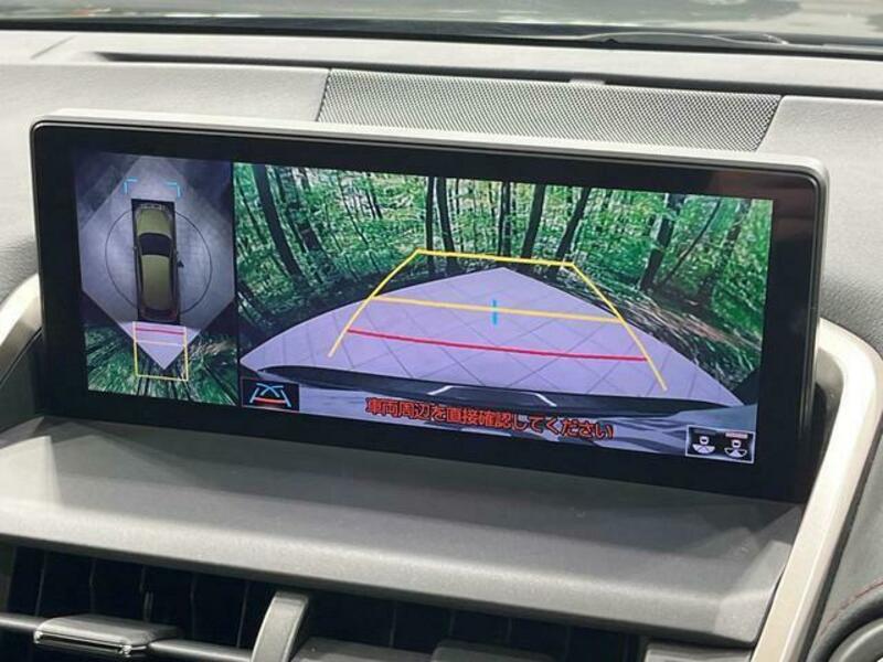 NX