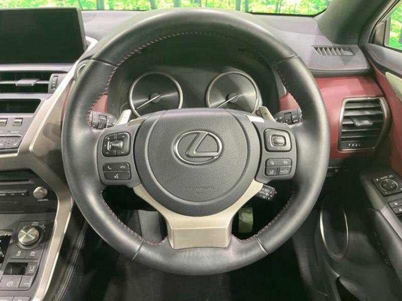 NX