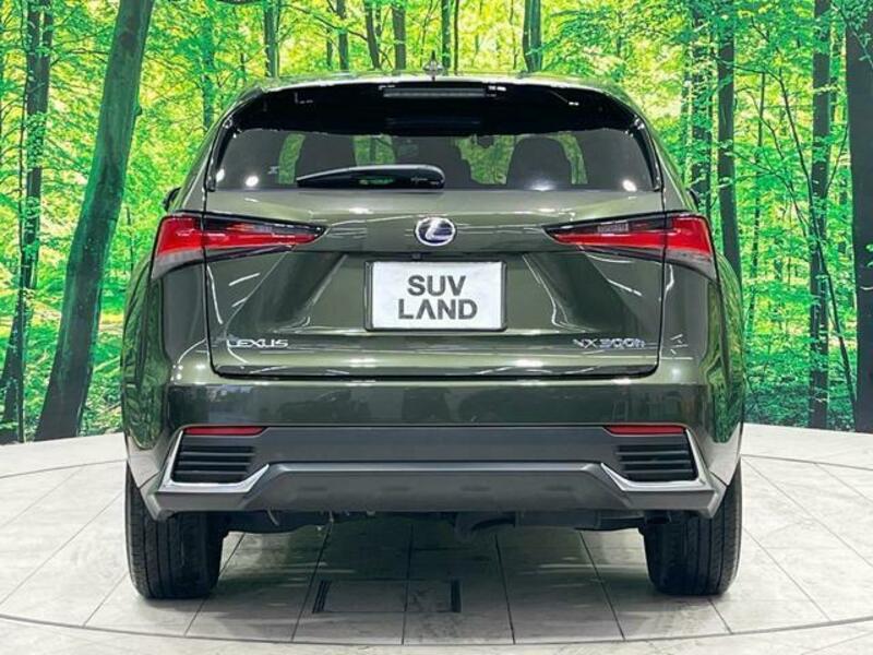NX