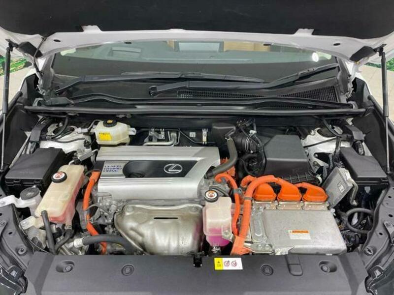 NX