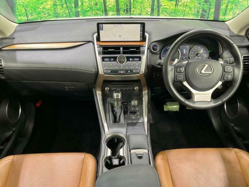NX