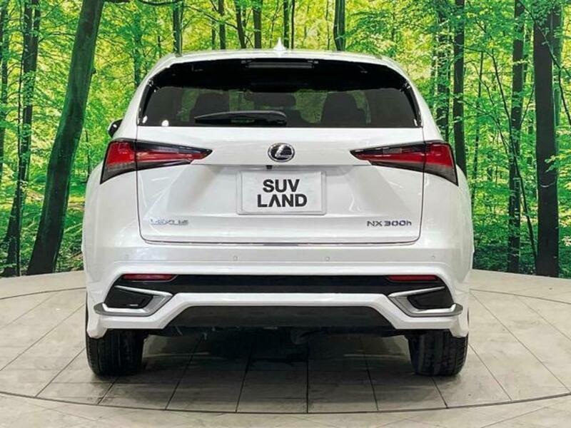 NX