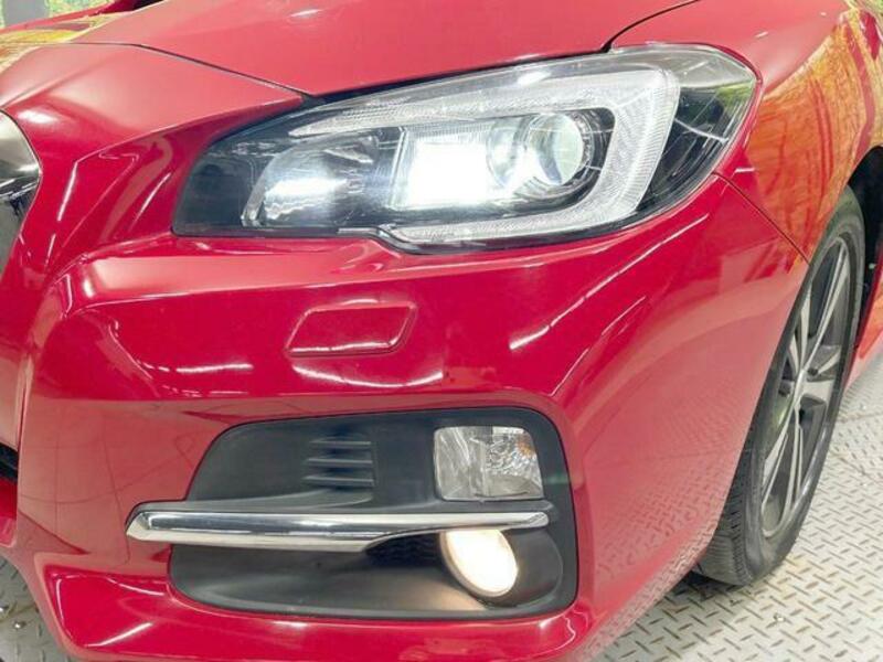 LEVORG