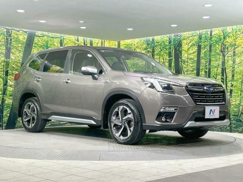 FORESTER